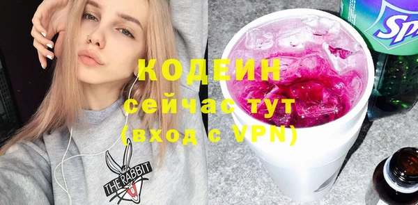 apvp Гусь-Хрустальный