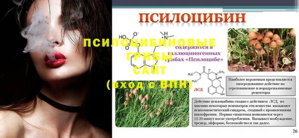 apvp Гусь-Хрустальный